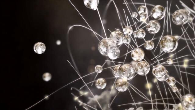 Carbon Based  Lifeforms Accede