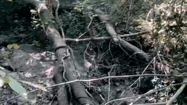 Dancing in my Room new song 🎵 🔥 #vevo #dancinginmyroom #youtubeshorts #youtube