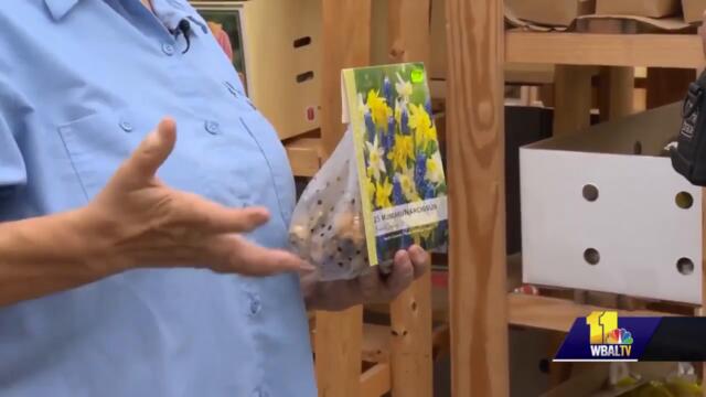 Sunday Gardener: Thinking about next year's gardening