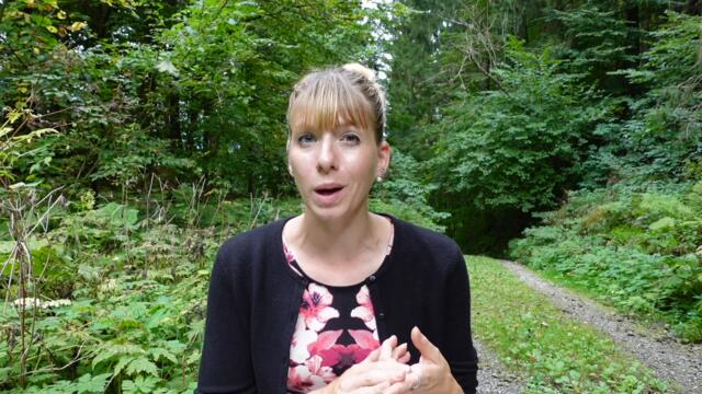 Beta Test Ergodex For Potential Airdrop? | Be Early To Test New Cardano Project | Wealth in Progress