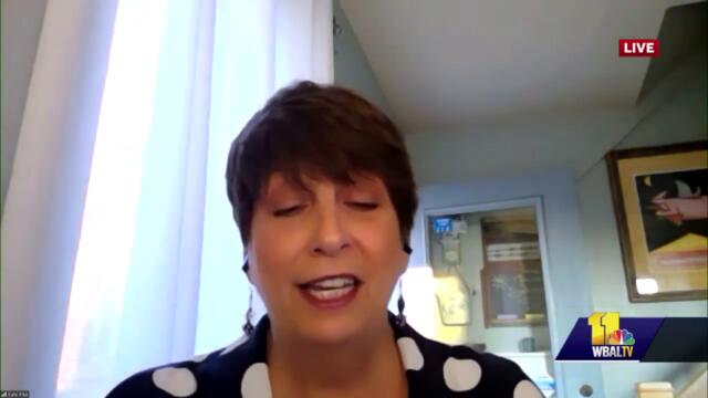 Super sweet pair of senior pets needs new home