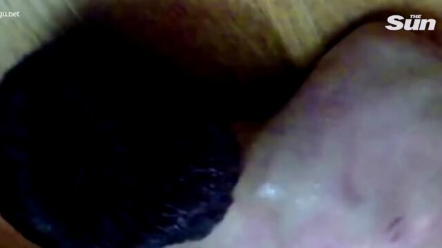 Leaked videos from Putin’s prisons show ‘rape & mutilation’