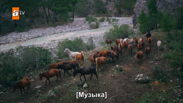 10 лет спустя… | Любовь моя, Алабора