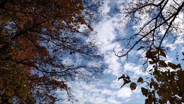 Алла Пугачева ОСЕНЬ 🍂 РЕКА Южный Буг ╰❥ @Moby Art