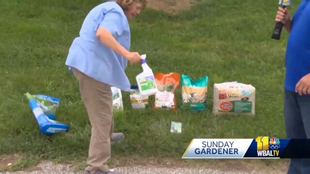 Sunday Gardener: Prepping yards now for spring