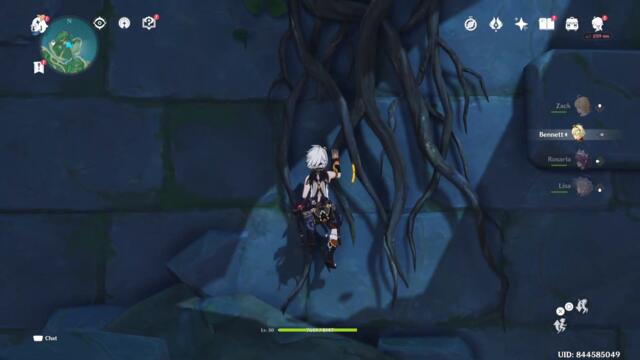 Genshin Impact - Nonno Spirit Hidden Quest (Tsurumi Island) Full Guide