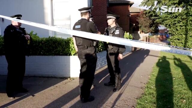 MP security in wake of Sir David Amess murder - Raab on plain clothes police