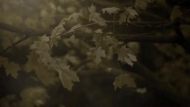 Удивительный русский романс...