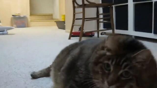 OH LAWD HE COMIN