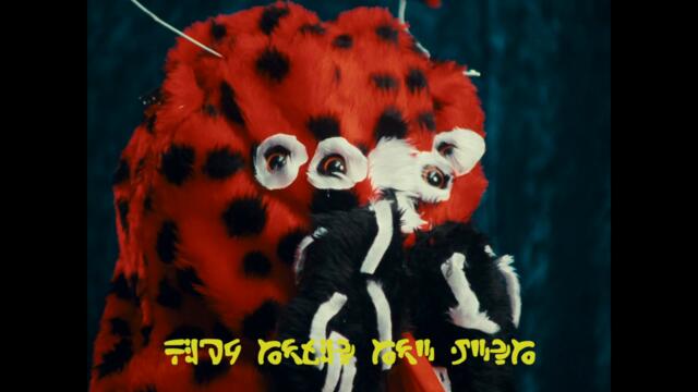 NewDad - Ladybird (Music Video)