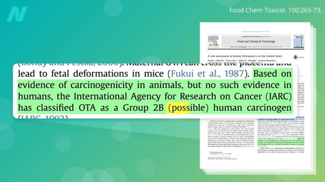Should We Be Concerned About the Effects of Ochratoxin?