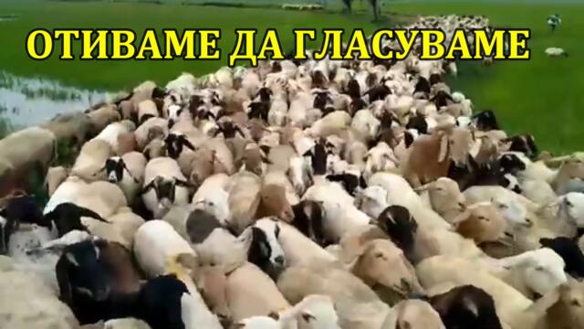 Смях Избори.Как се гласува в България.Обещания от политици.