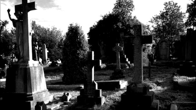 Blacksoul Seraphim-Conspiracy of Exarchs