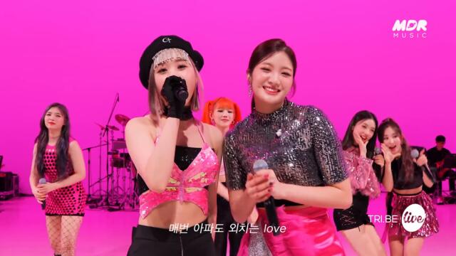 [4K] 트라이비(TRI.BE) -“Lovesick Girls (by 블랙핑크)” Band LIVE Concert │ 트라이비 없인 난 아무 의미가 없어😢