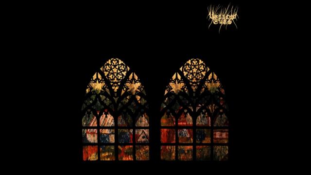 Yellow Eyes - Mangrove, the Preserver