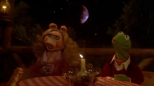 The Muppet Movie: Steve Martin Cameo