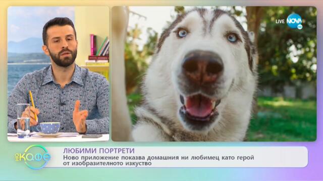 Ново приложение показва домашния ни любимец като герой от изобразителното изкуство - „На кафе”