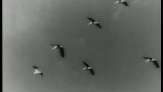 Седемнадесет мога от пролетта (1973)