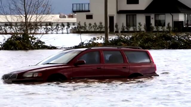 Jet ski rescues cattle in flooded British Columbia