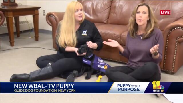 Here's what's next to our Puppy with a Purpose