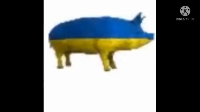 Ukrainian pig dancing (Full music video)