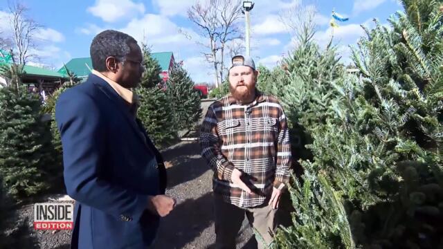 Why Real and Fake Christmas Trees Are Harder to Get This Year