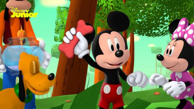 🐱 Ziua Animăluțelor | Mickey Mouse: Casa Distracției | Disney Junior România