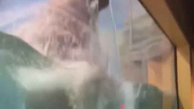 Jumping Hippo Faces Off With Toddler #shorts