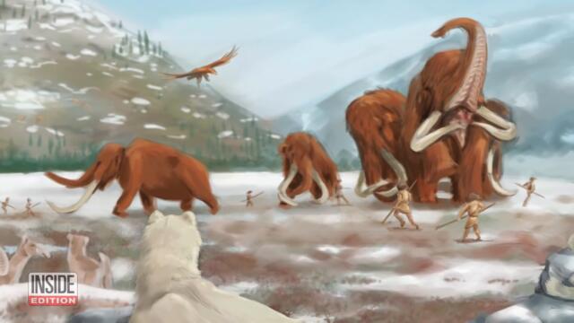 Paleontologists Uncover Mammoth Remains in Mexico