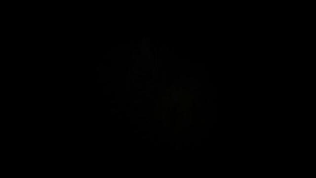 TFM: The First Men - Official Gameplay Trailer