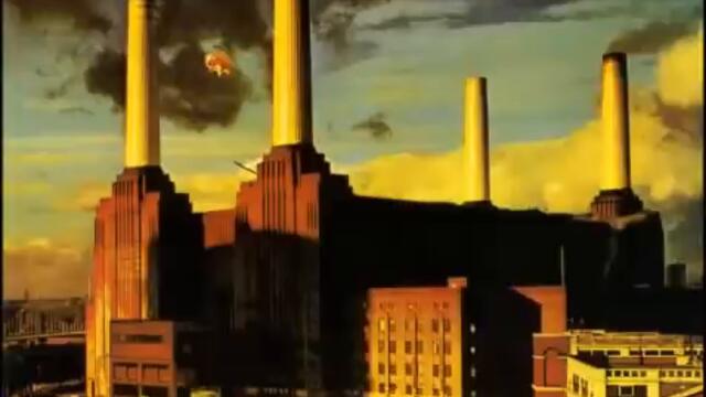 Pink Floyd - Pigs (Three different Ones)