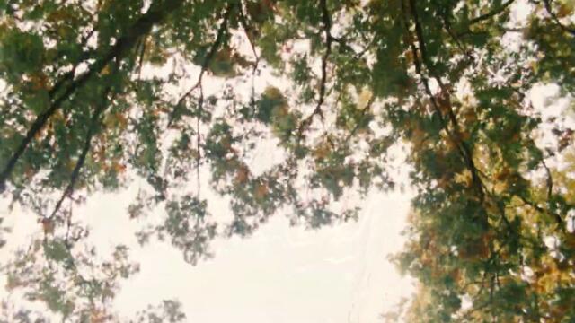 Garden Paralysis - Internal Monologue (Official Music Video)