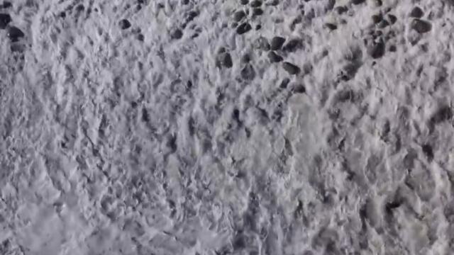 Zivert & LYRIQ - Forever Young _ Премьера клипа