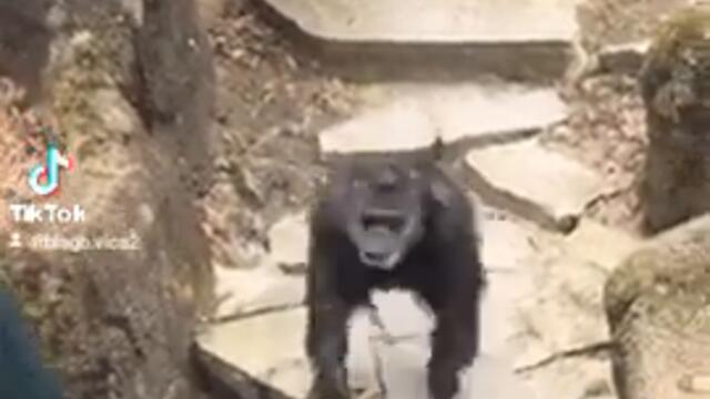 Когато нямаш късмет смях