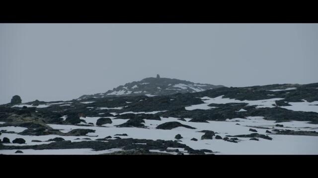 Geoffroy - Raised By Wolves (Official Video)