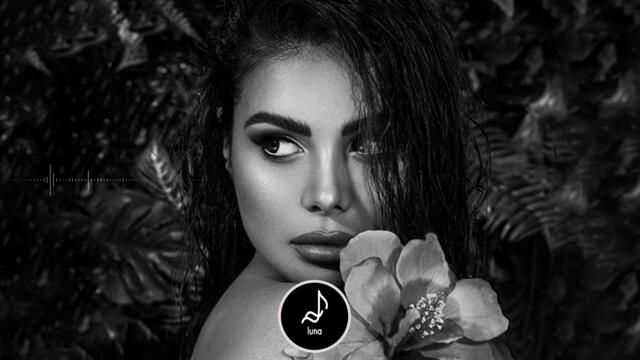 meiko - leave the lights on remix(luna)