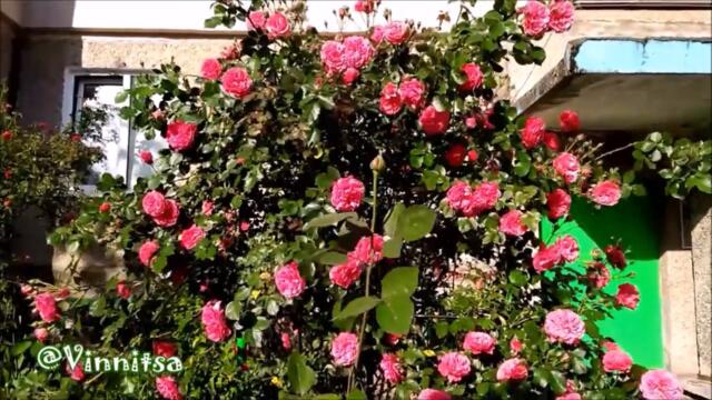 Доброе Утро! ХИТЫ 2022 Январь - Анна Громова ЛЮБИ МЕНЯ ТАКОЙ, КАК ЕСТЬ