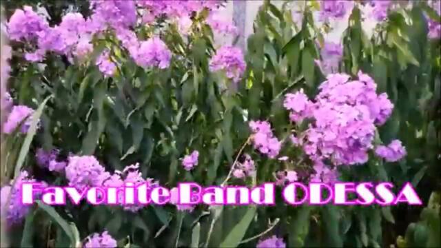 С Праздником!  Band ODESSA   -   ВЕСЁЛОГО РОЖДЕСТВА !