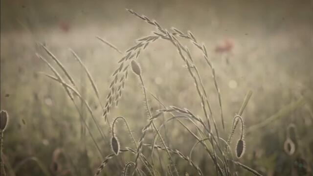 Мария Пахоменко....Печальная...