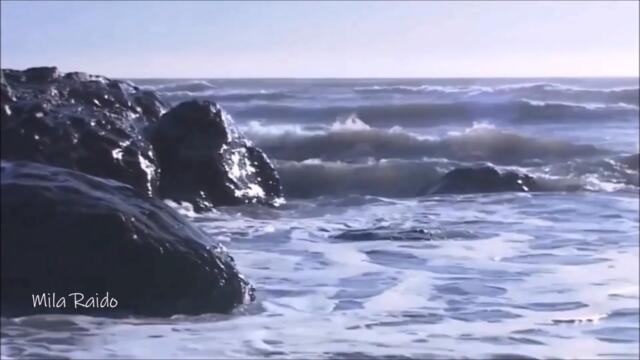 У Черного Моря