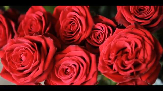 AX Dain - CHERVENA ROZA _ ЧЕРВЕНА РОЗА - (Official Video)