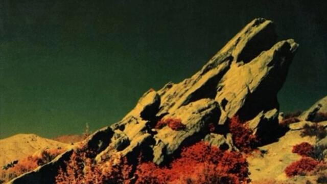 Wall Of Voodoo - Back In Flesh