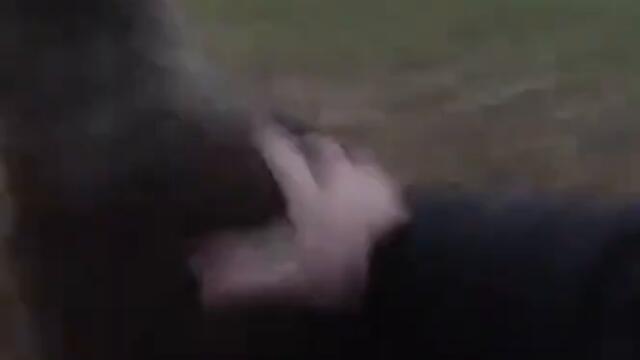 Police rescue distressed deer tangled in a rope swing #Shorts 🦌