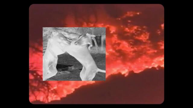 HYMN - Exit Through Fire (Official Video)