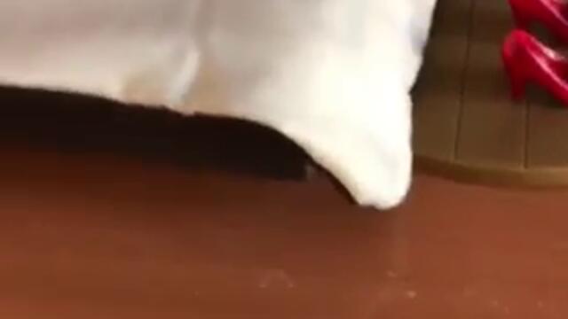 Реалистичната ми стая за Кукли Почти завършен вид