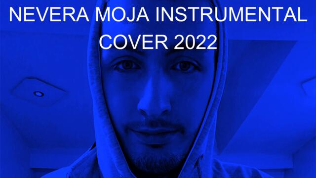 Dejan N. - Vesna Zmijanac - Nevera moja -  Instrumental Cover 2022