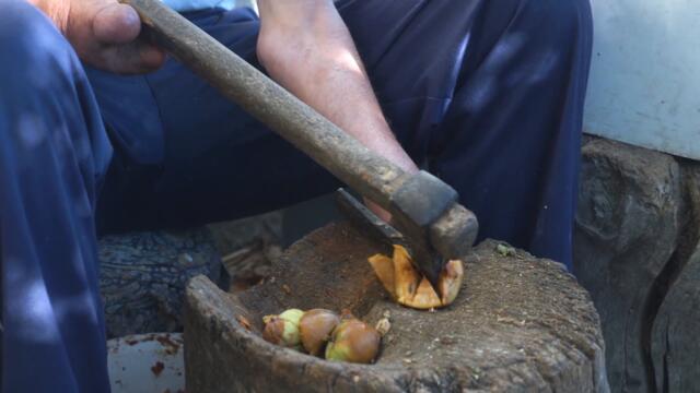 Средец (2021) - трейлър къс документален филм