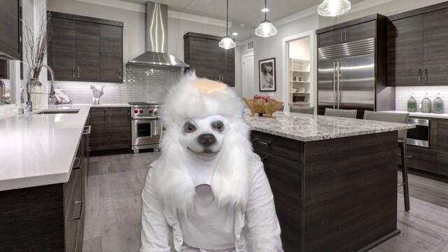 Butter Dog - Meme Remix Song