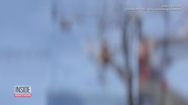 Electric Company Worker Saves Sloth on Powerline