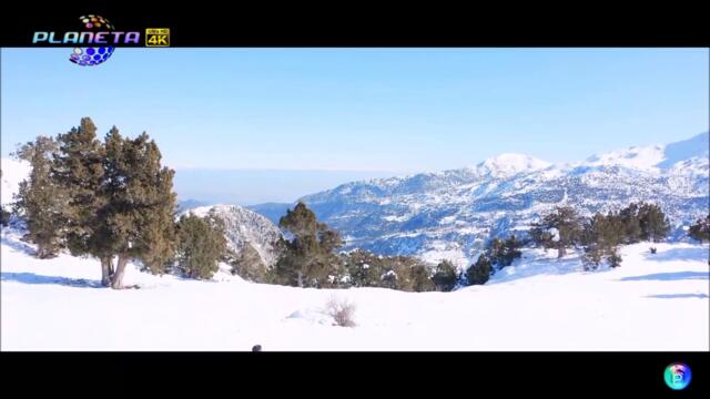 Клеймо (Премьера клипа) Planeta Russian Petar Music Production 4K Video Klip